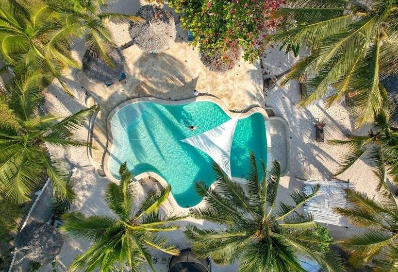 هتل Aya Beach Resort