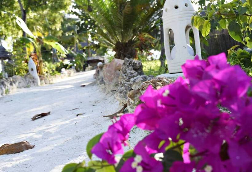 هتل Aya Beach Resort