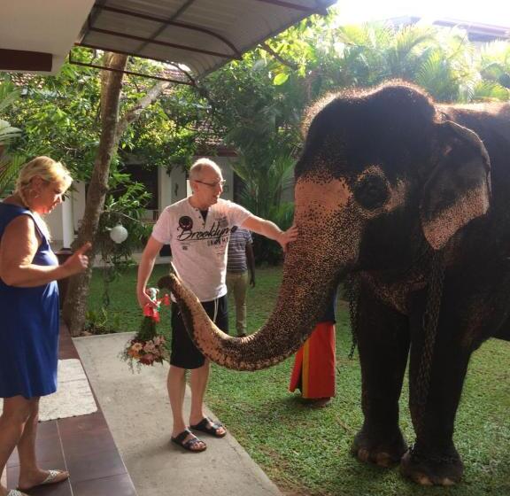 فندق White Bridge House & Resort