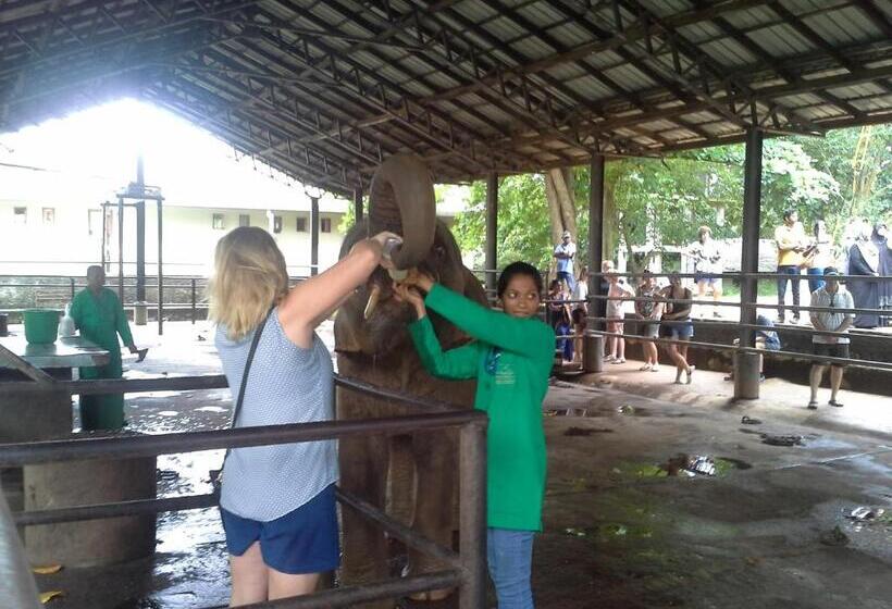 فندق White Bridge House & Resort