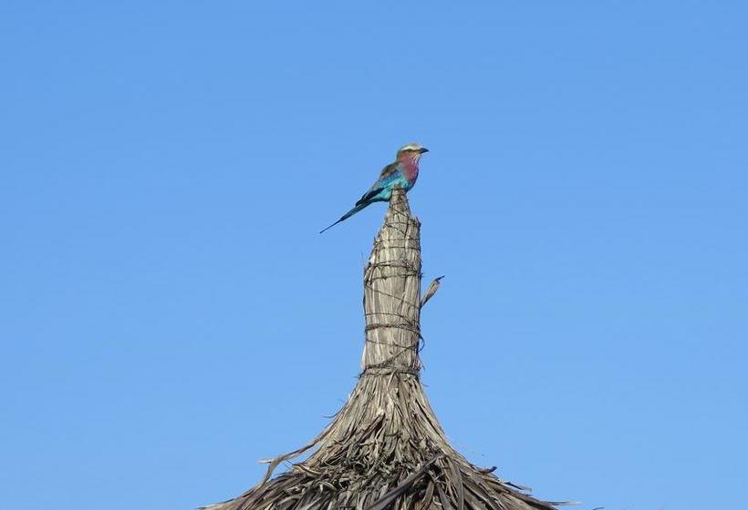 مبيت وإفطار Butiama Bustani