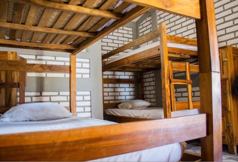 The Barrel Hostel