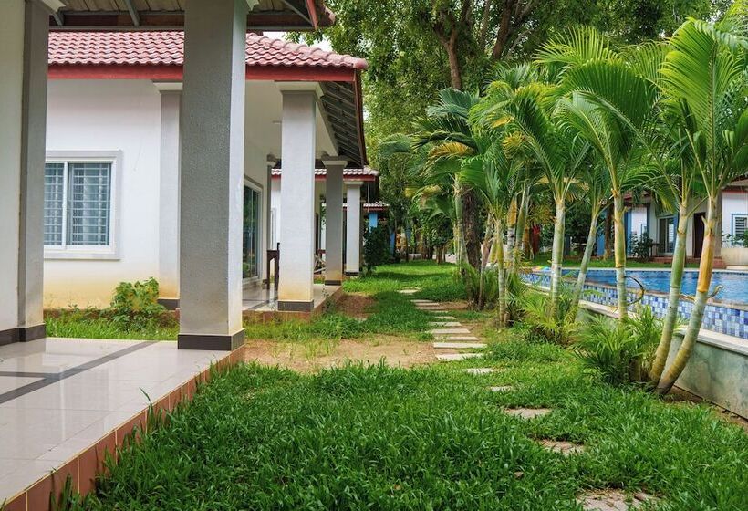 پانسیون New Dragon Inn Guest House
