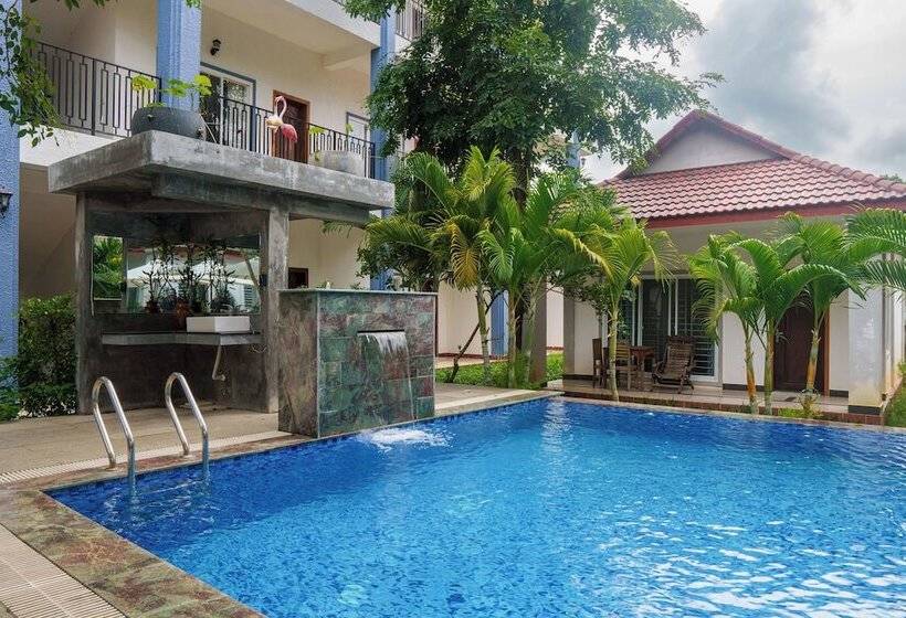 پانسیون New Dragon Inn Guest House