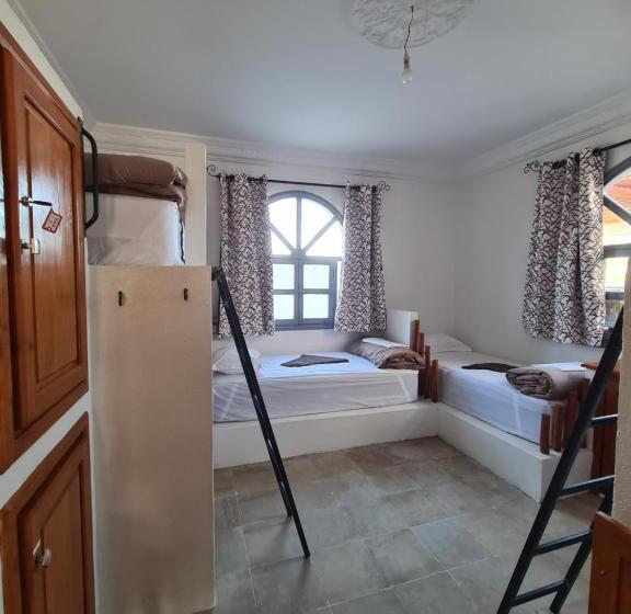 هاستل L Auberge Des Vagues