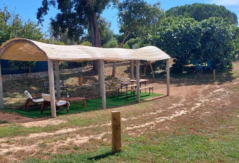 تختخواب و صبحانه Monte Do Sol