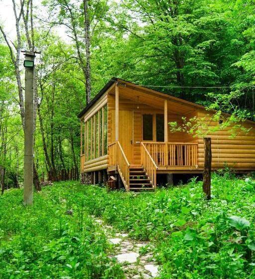 אתר נופש Homeland Motkor