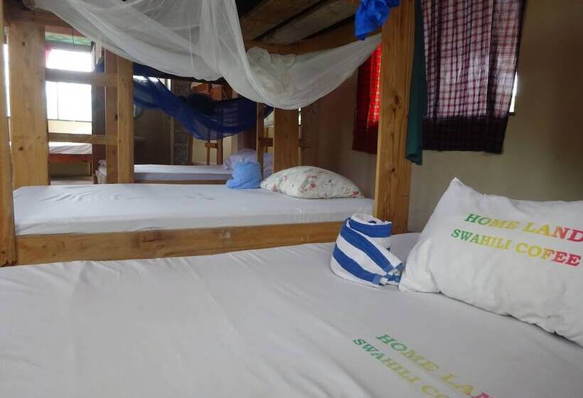 تختخواب و صبحانه Homeland Swahili Lodge   Hostel