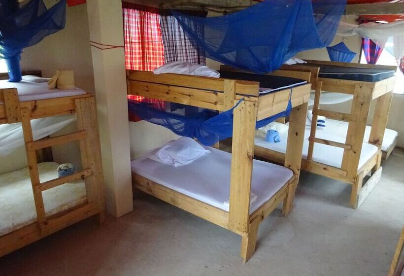تختخواب و صبحانه Homeland Swahili Lodge   Hostel