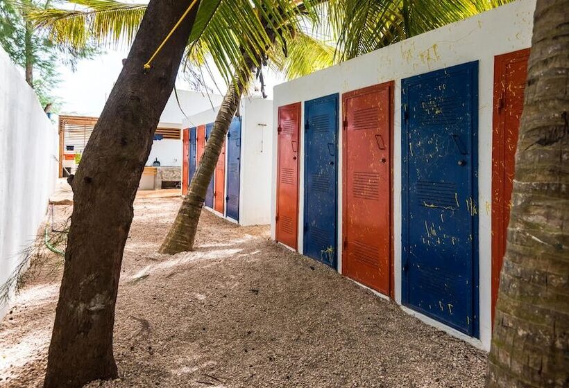 בית מלון כפרי Paje By Night Bungalows