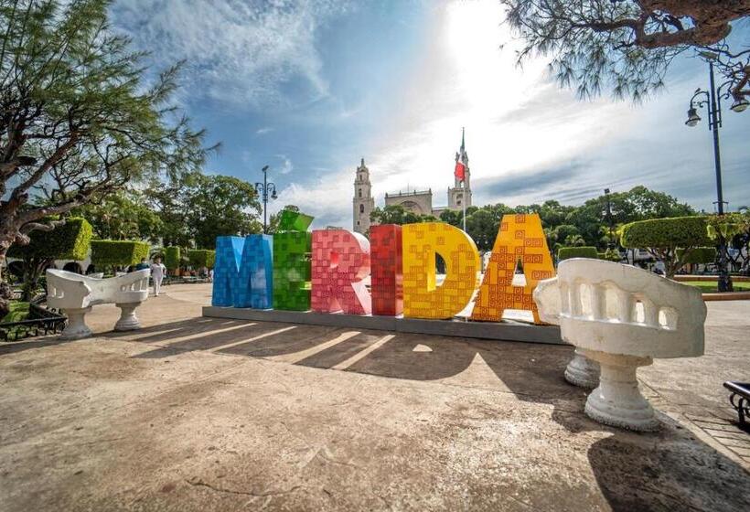 فندق صغير Room Cuzama Disfruta De Este Paraiso