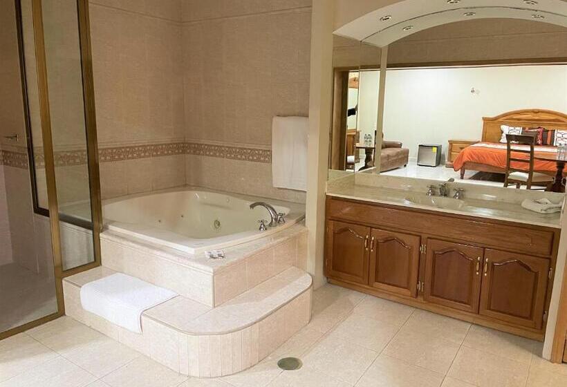 فندق Fiesta Alteña