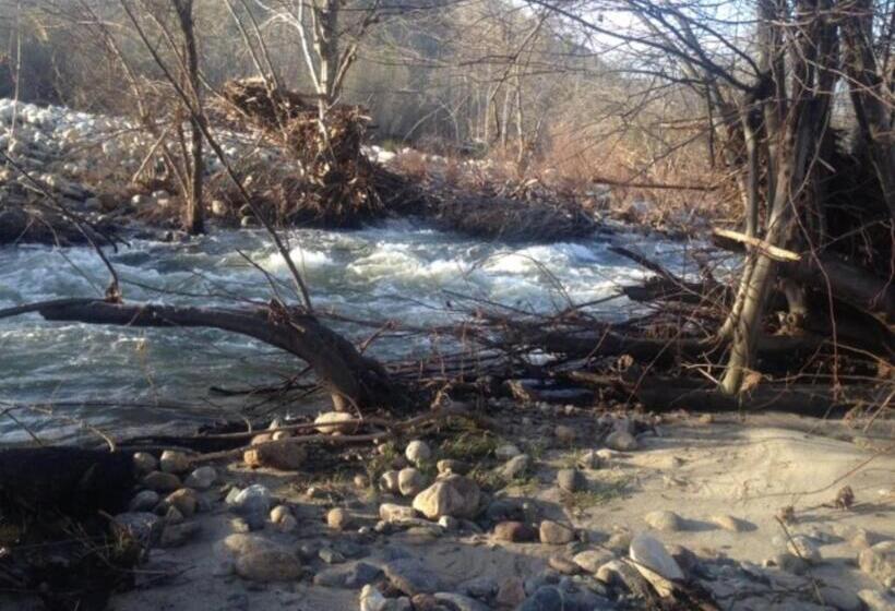 هتل Sequoia River Front Cabins