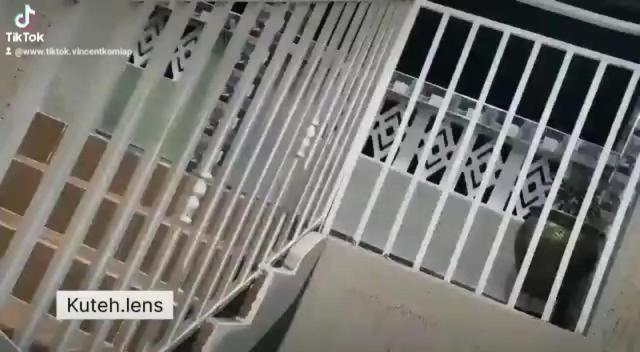 ホテル Sokea Safari Lodge And Suites