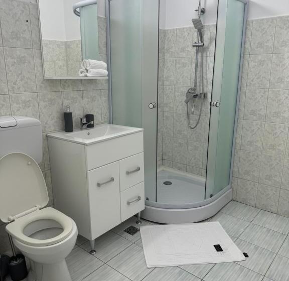 펜션 Apartament S Moise