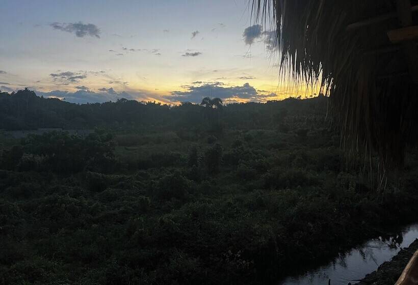 Dominican Jungle Resort