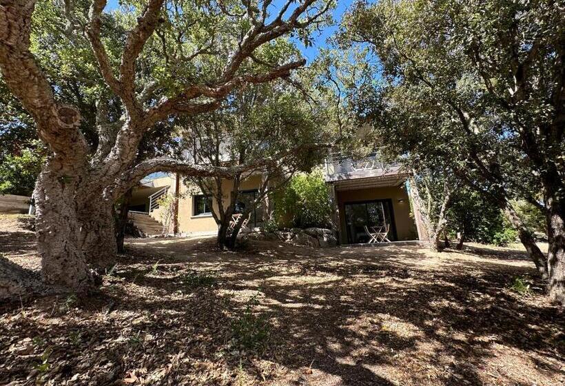 تختخواب و صبحانه Les Chambres Marcelle