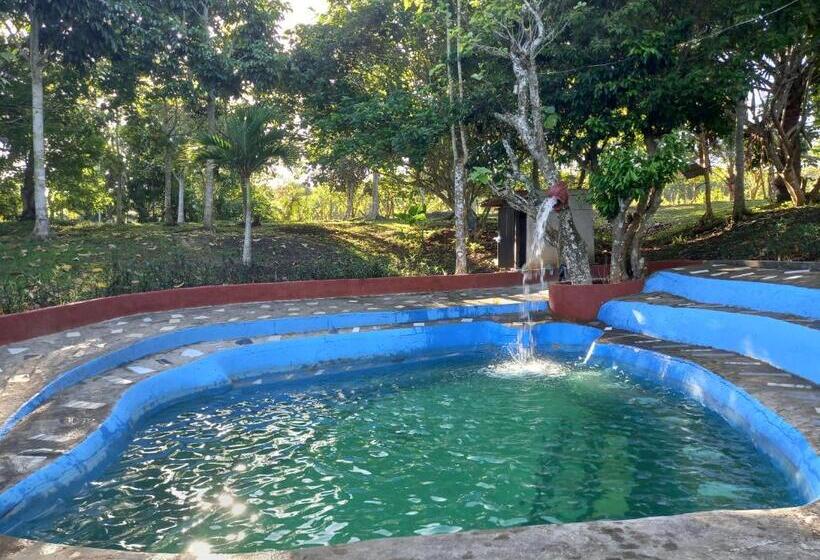 تختخواب و صبحانه Turtle Spring Private Resort