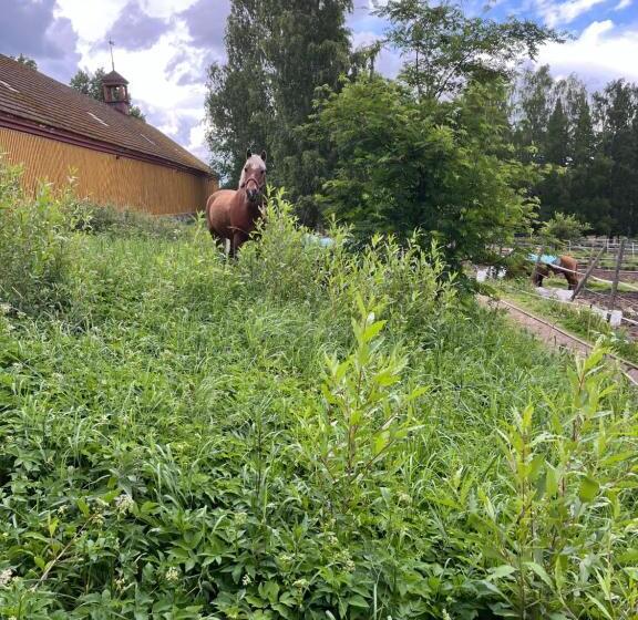 هتل Seppälän Tallin Leiritilat