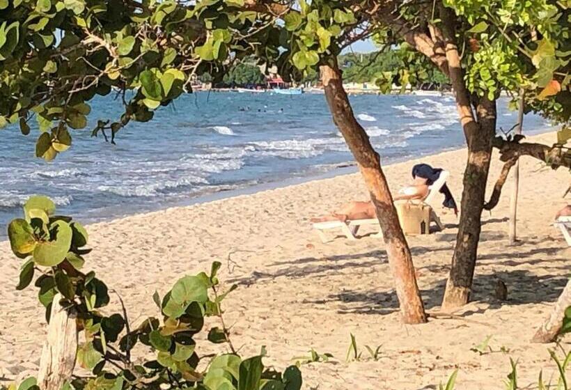 پانسیون Bamboo Rincon Del Mar