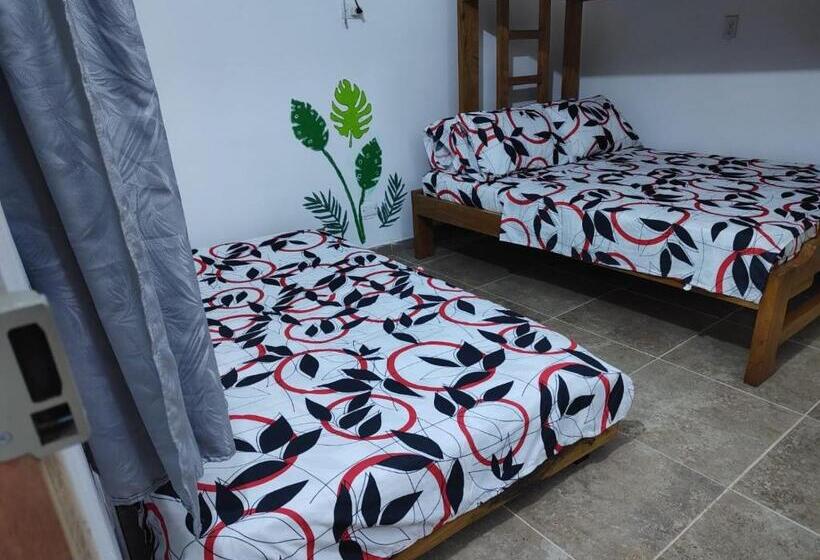 پانسیون Hostal Rojoyale