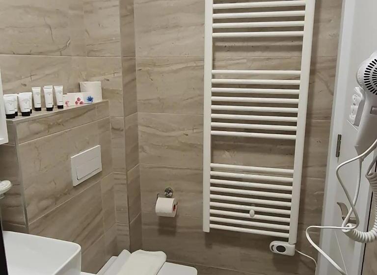 פנסיון Vila Ajet