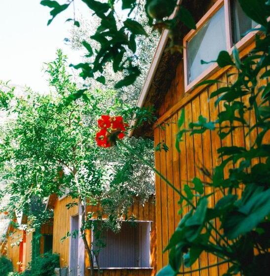 渡假胜地  Kaplumbağa Bungalows