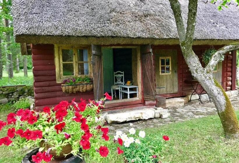 پانسیون Veskimäe Muhu Island