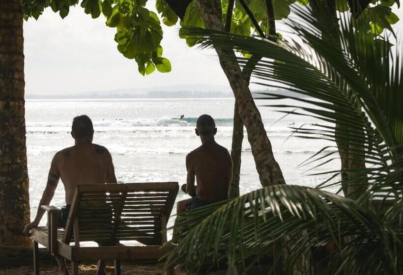 تختخواب و صبحانه Carve Bay Mentawai