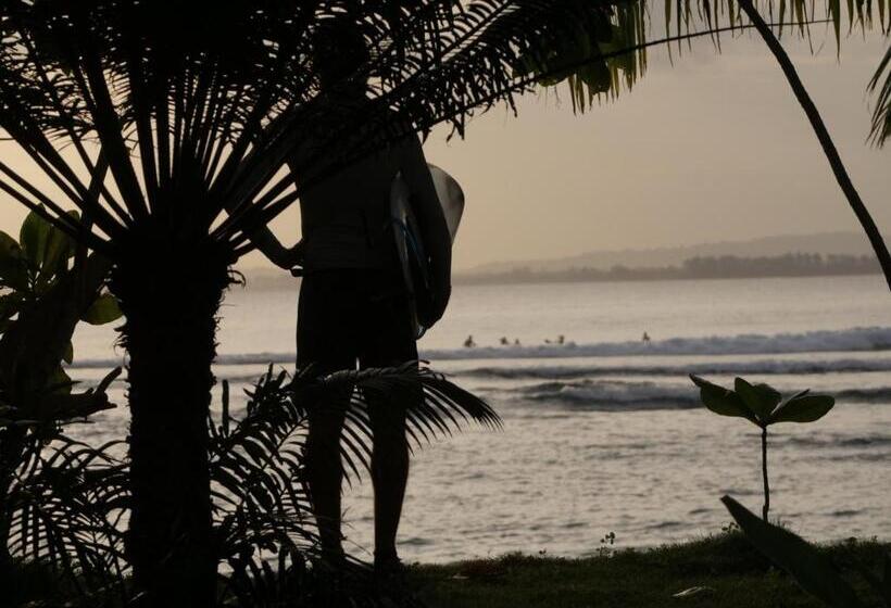 تختخواب و صبحانه Carve Bay Mentawai