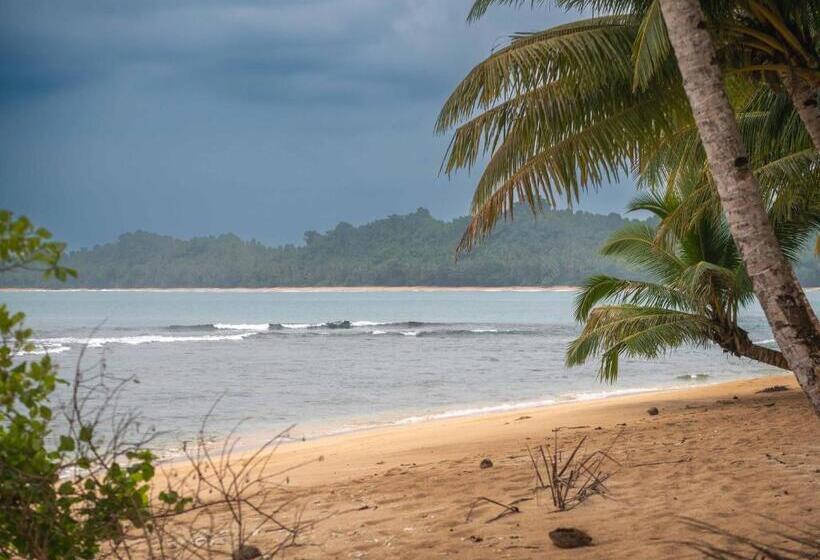 تختخواب و صبحانه Carve Bay Mentawai