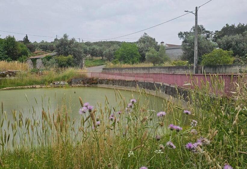 住宿加早餐  Casal Cura   Adults Only