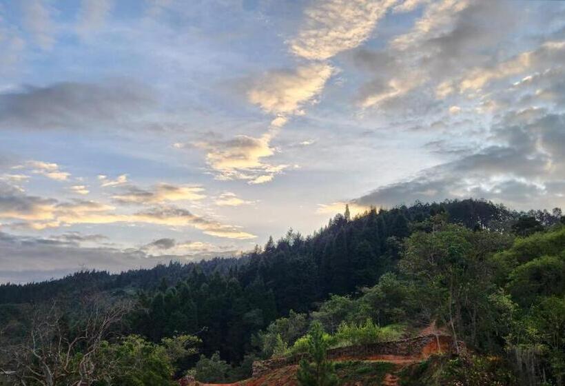 هتل Casa Luma Hostel