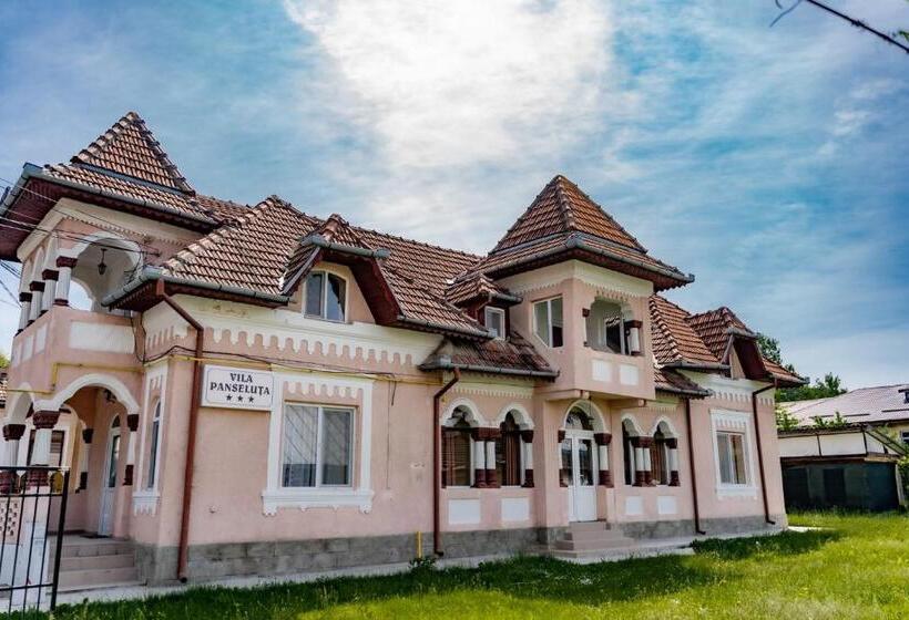 펜션 Vila Panseluța