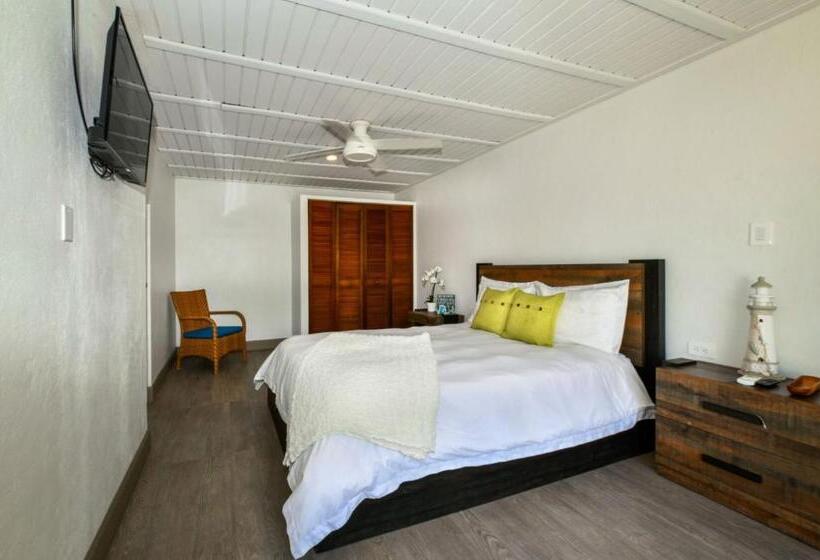 Aloe B&b