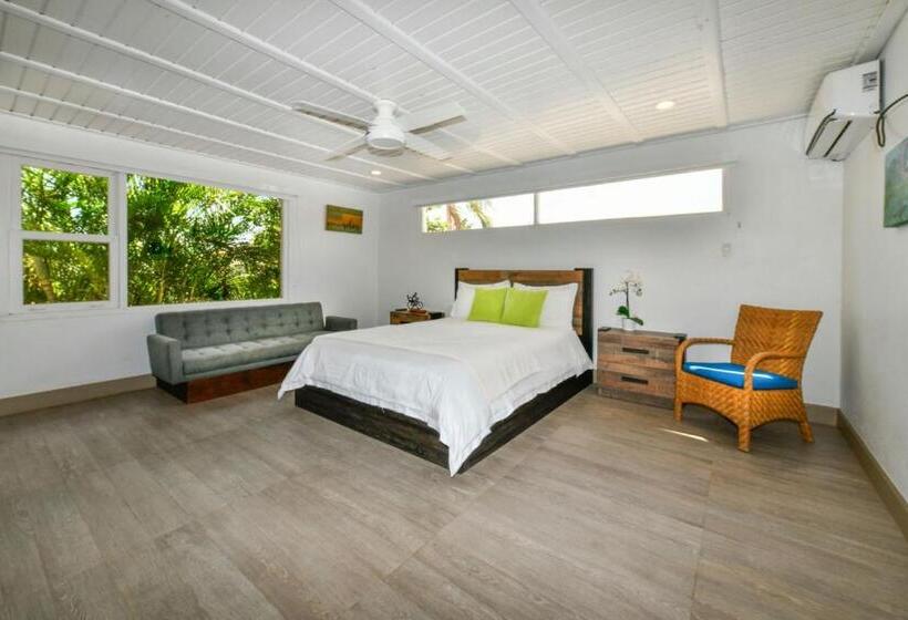 Aloe B&b
