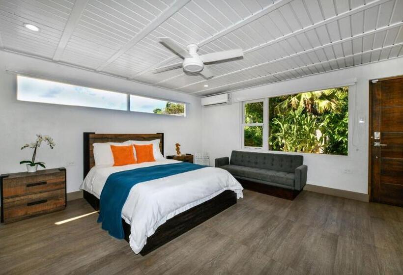 Aloe B&b