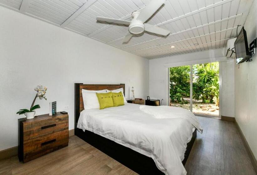 Aloe B&b