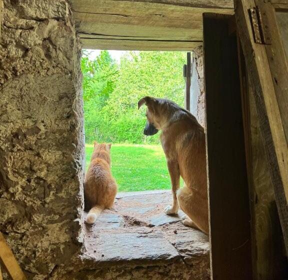 مبيت وإفطار Le Manoir De Jasmine