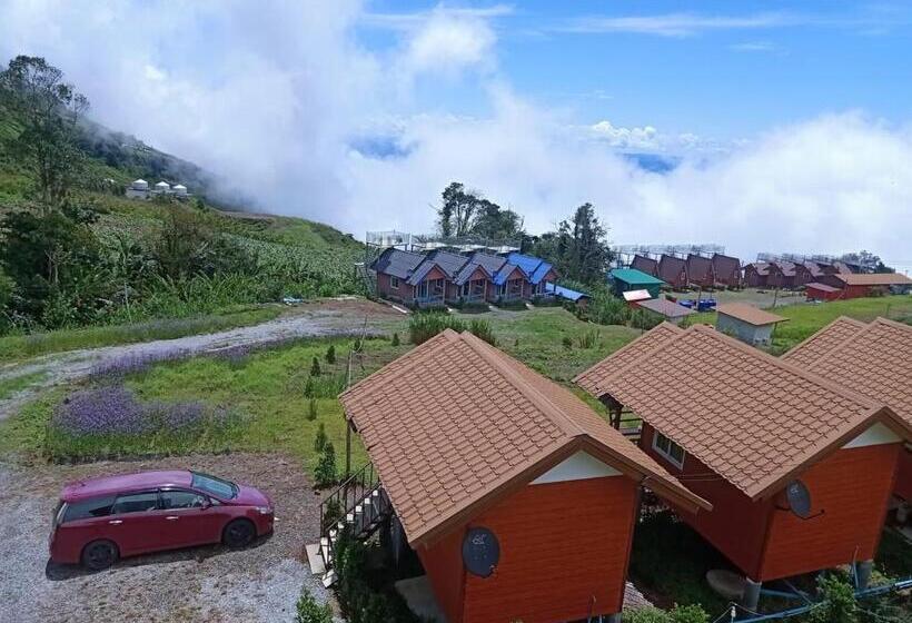 هتل Baan Phak Plaithang At Phu Thap Buek