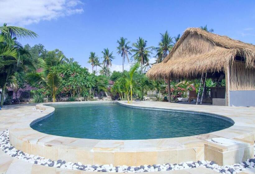 هتل Coco Breeze Spa