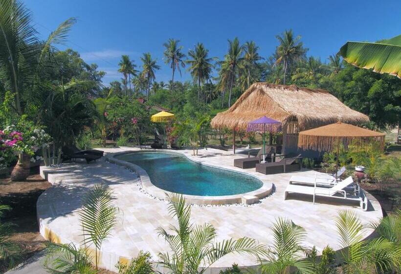 هتل Coco Breeze Spa