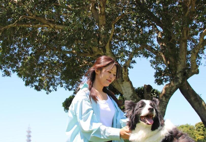 فندق Nanki Shirahama Dog Paradise