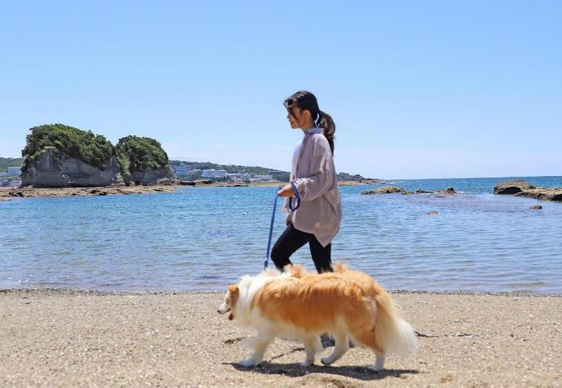 فندق Nanki Shirahama Dog Paradise