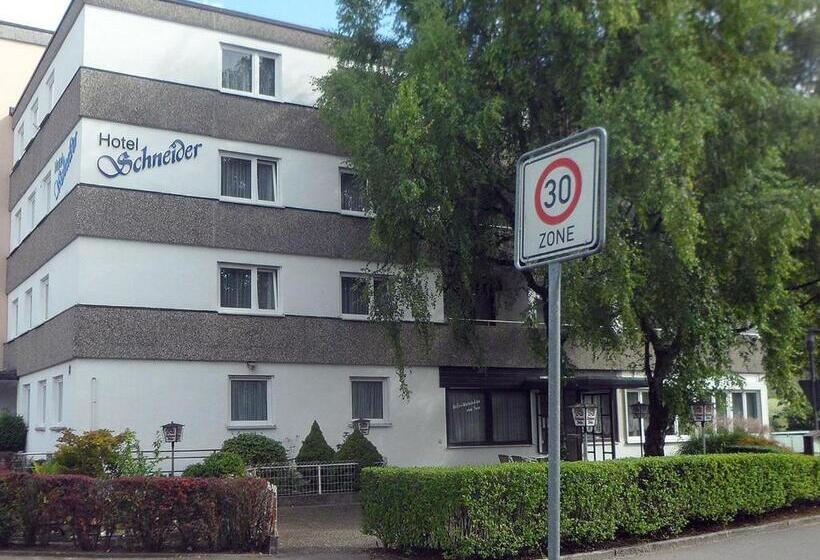 هتل Schneider