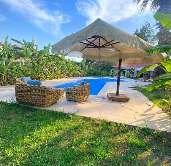 پانسیون Sunyear Guest Houses 1