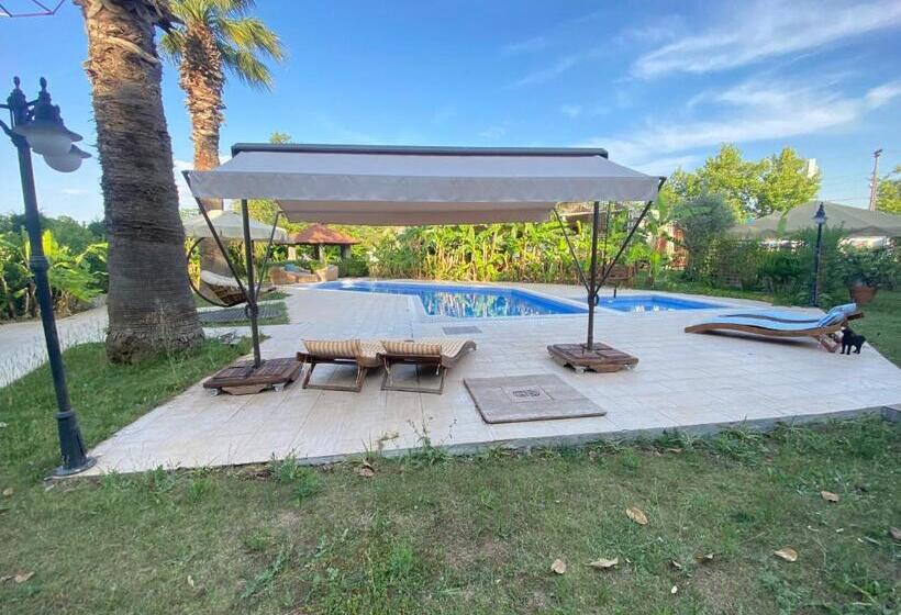 پانسیون Sunyear Guest Houses 1