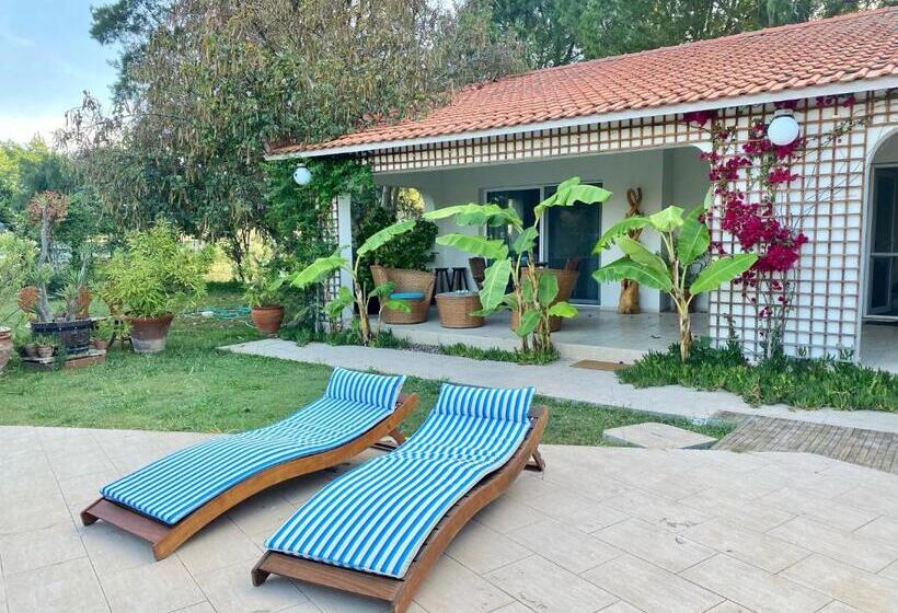 پانسیون Sunyear Guest Houses 1