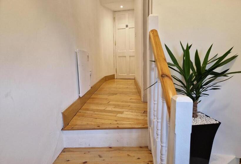 The Nu Place Suite