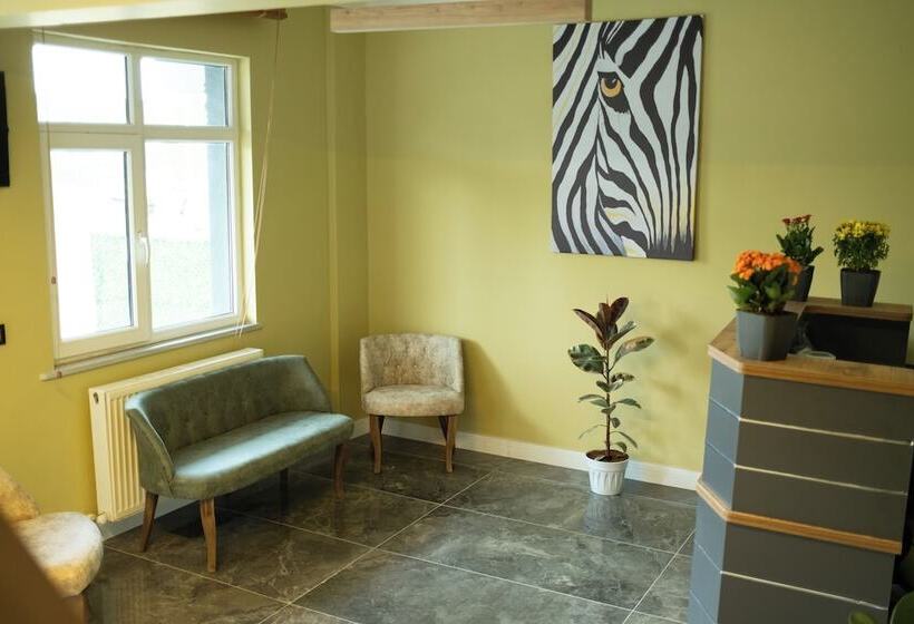 민박 Zelle Airport Boutique